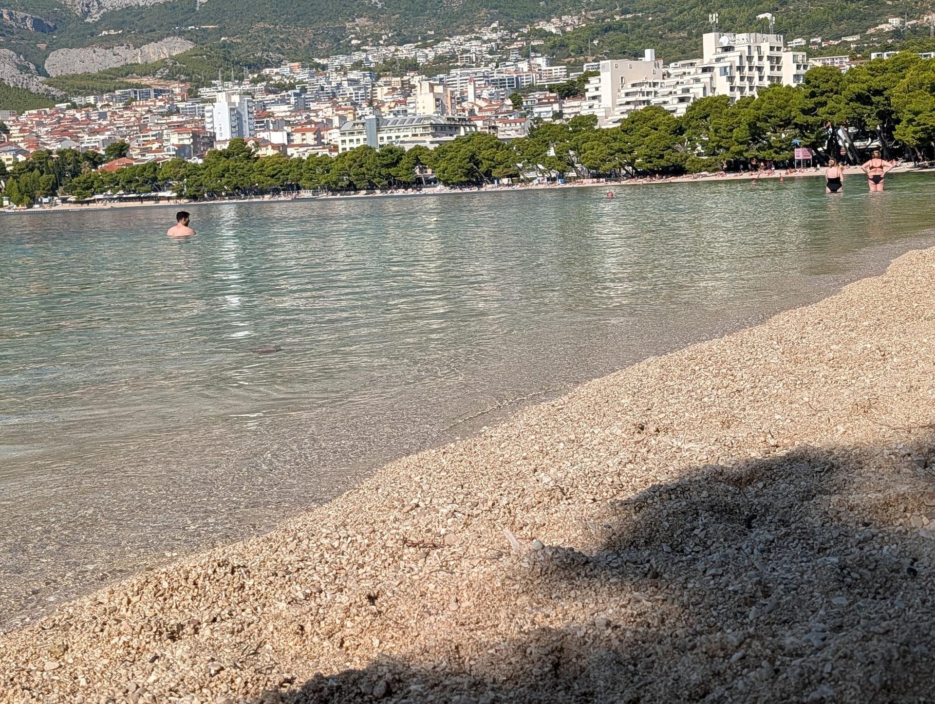 02.jpg