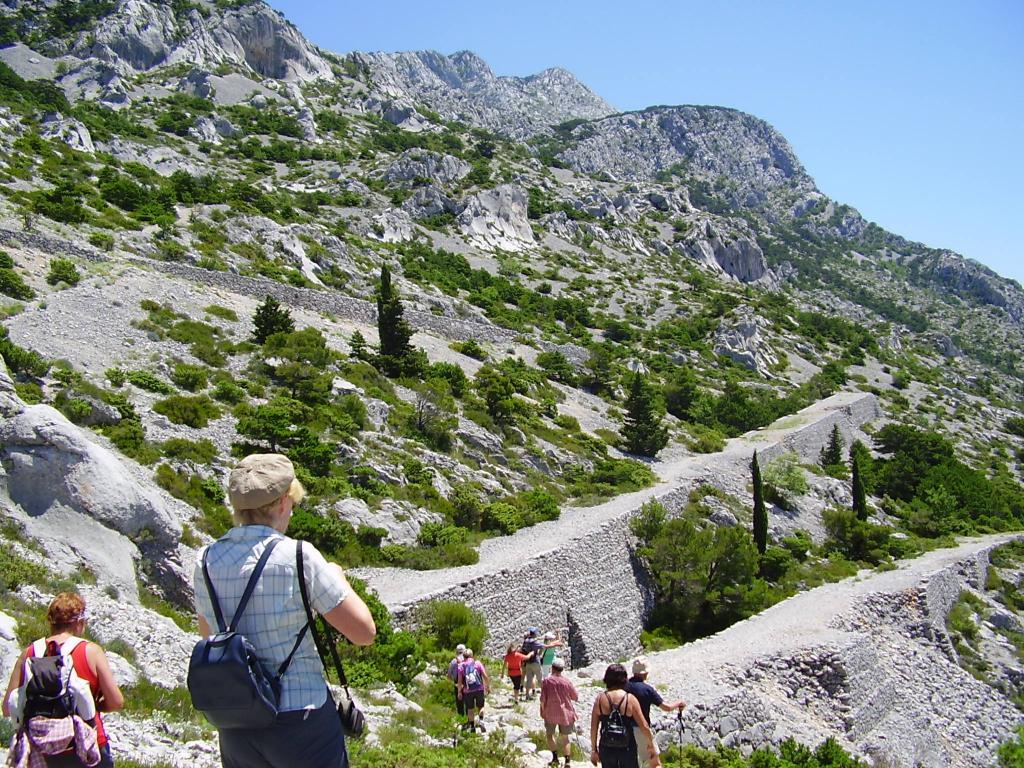 The Napoleon Road: 19th-Century Engineering