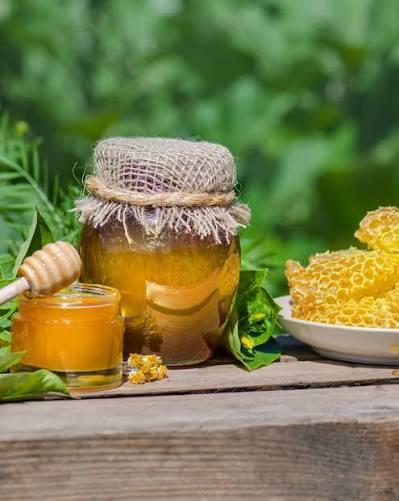 3. Biokovo Honey: Liquid Gold from the Peaks