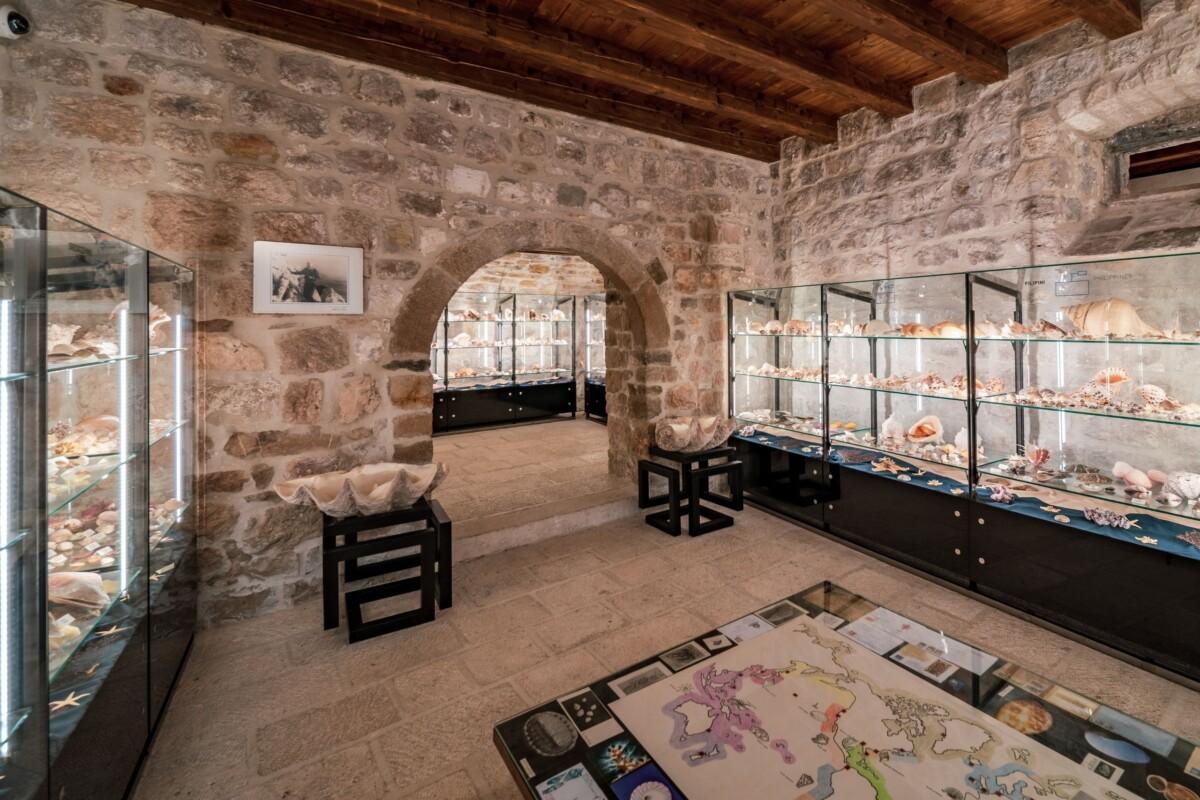 7. Malakologické muzeum (Muzeum mušlí)