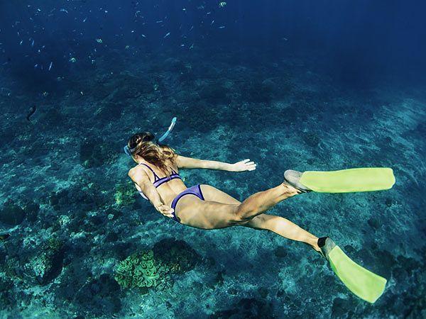 3. Going Under: Diving and Schnorkeling