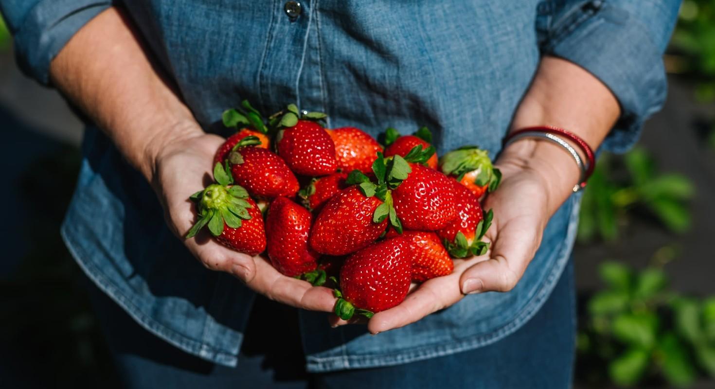 7. Indulge in Seasonal Wild Asparagus & Fresh Strawberries